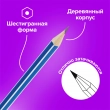 Карандаши чернографитные BRAUBERG НАБОР 12 шт., «ZTX», HB, с резинкой, синий корпус, картонная упаковка, 180672 - Полиграфия