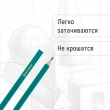 Карандаши чернографитные BRAUBERG НАБОР 12 шт., НВ, без резинки, пластиковый зеленый корпус, 180677 - Полиграфия