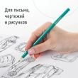 Карандаши чернографитные BRAUBERG НАБОР 12 шт., НВ, без резинки, пластиковый зеленый корпус, 180677 - Полиграфия