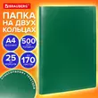Папка на 2 кольцах А4 BRAUBERG PIXEL, 25 мм, темно-зеленая, до 170 листов, 0,5 мм, 273033 - Полиграфия