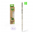 Карандаш ч/г Berlingo "Green series. Newspaper pencil", HB, заточен., 327121 - Полиграфия