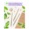Карандаш ч/г Berlingo "Green series. Newspaper pencil", HB, заточен., 327121 - Полиграфия