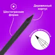 Карандаши чернографитные BRAUBERG НАБОР 12 шт., «Black Jack», 2Н-4В, без резинки, черные, дерево, заточенные, 180620 - Полиграфия