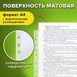 Папки-файлы перфорированные А4 STAFF «ЭКОНОМ», КОМПЛЕКТ 100 шт., матовые, 25 мкм, код 226828 - Полиграфия