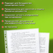 Папки-файлы перфорированные А4 STAFF «ЭКОНОМ», КОМПЛЕКТ 100 шт., матовые, 25 мкм, код 226828 - Полиграфия