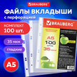 Папки-файлы МАЛОГО ФОРМАТА (148×210 мм), А5, ВЕРТИКАЛЬНЫЕ, КОМПЛЕКТ 100 шт., 35 мкм, BRAUBERG, 221714 - Полиграфия